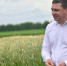 Евгений Первышов: уборочная кампания региона уже достигла результата в 3 миллиона тонн зерна - Тамбовская жизнь
