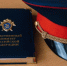 В Воронеже на школьника напала стая собак - Комсомольская Правда