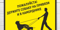 Специалистами Межрайонного отдела ветеринарии «Восточный» к ответственности привлечены 3 граждан - Комитет ветеринарии