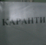 Карантин по бешенству отменили в Кинеле - Комсомольская Правда Самара