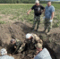 В Орловской области нашли останки двух красноармейцев - OrelTimes.Ru