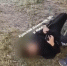 ️Видео с избиением ребёнка во дворе на улице Воробьёва сейчас проверяет полиция Курска - Курские Известия