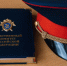 В Воронеже возбуждено уголовное дело по факту нападения собак на несовершеннолетнего - Следственный комитет