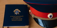 В Воронеже возбуждено уголовное дело по факту нападения собак на несовершеннолетнего - Следственный комитет