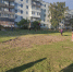 Фото здесь и далее: ПАИ - InformPskov.Ru