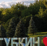 День города – 2026: опубликована афиша праздничных мероприятий в Губкине - Gubkin.City