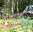 Кладбище_фронт.jpg - 1000inf.ru
