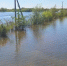 Незначительный рост уровня воды в р. Амур зафиксирован в ЕАО - ИА Eaomedia.Ru
