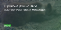 Поделитья во ВКонтакте - Братская Студия Телевидения