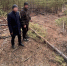 В Бурятии трое мужчин спрятали украденные тракторы в лесу, но их обнаружил дрон - Infpol.Ru