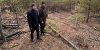 В Бурятии трое мужчин спрятали украденные тракторы в лесу, но их обнаружил дрон - Infpol.Ru