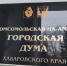 Депутаты Думы Комсомольска держат на контроле исполнение наказов избирателей, поступивших во время выборов - Администрация г.Комсомольска-на-Амуре