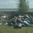 В Аларском районе прокуратура добилась уборки свалок на кладбищах - КП-Иркутск