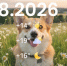 15a1XKhdkdfUvOjQx0kNL6nIjjg8QS0cKDbZ6tR53XPlBBnfCe4kl121eYbTTH1npfwtOJyqnhPeznop-XaaRRAx - ЗА Новомосковск