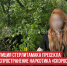 пост 2 - Cityopen.ru