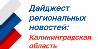 Калининградская область вошла в информационный проект Общероссийской ассамблеи ТОС - Министерство по муниципальному развитию