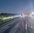 На трассе под Омском в ДТП с телегой погибла пассажирка - СуперОмск