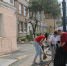 Сотрудники аппарата Думы города Владивостока провели субботник по уборке территории - Дума города Владивостока