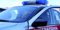 Более 90 выездов по сигналам «тревога» и 15 пресечённых правонарушений: итоги недели вневедомственной охраны на Сахалине - Росгвардия