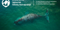 Более 200 фильмов поступило на конкурс «Дальний Восток – Земля приключений» от жителей страны - Правительство Республики Саха (Якутия)