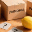 Сам Тарзан пошел бы к вам в ученики, если ответите на 5/5: тест о животном мире - SevastopolMedia
