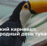 1 - Новый Компаньон