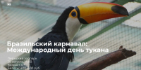 1 - Новый Компаньон