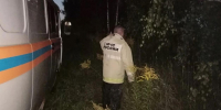 Потерявшегося в лесу под Болховом мальчика с особенностями здоровья нашли живым - Орловский Вестник