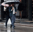 В Подмосковье в пятницу ожидается дождь - Вести Подмосковья