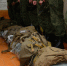 Вологодские призывники отправятся на службу в октябре-декабре этого года - Вологда.РФ