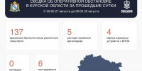 137 украинских беспилотников сбили в Курской области за сутки - РИА Курск