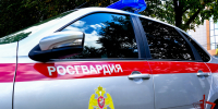 В Марий Эл сотрудники Росгвардии задержали гражданку, находящуюся в федеральном розыске - Росгвардия