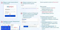 Оцените качество предоставления государственных услуг на едином портале «Госуслуги» - Минтранс Алтайского края