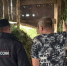 Более 10 килограммов конопли изъяли полицейские у жителя Переволоцкого района - ProOren.Ru
