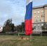 собака - OrelTimes.Ru