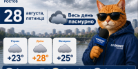 Погода в Ростове-на-Дону 28 августа: пасмурно и без осадков - Bloknot-Rostov.Ru