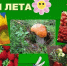 “Витаминная пора” - Библиотеки Тамбовской области