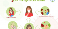 ВАКЦИНАЦИЯ ПРОТИВ ГРИППА - Приозерский район