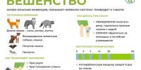 Как защититься от бешенства - Приозерский район