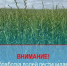 Обработка полей. - Холмогорский муниципальный округ