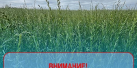 Обработка полей. - Холмогорский муниципальный округ