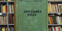 dinamikavida-2.jpg - Псковская научная библиотека