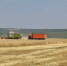 1f699218-1c6d-400e-9a7c-da54b20987ae - Новодеревеньковский район