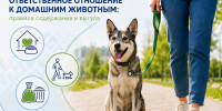 Ответственное отношение к домашним животным: правила содержания и выгула - Администрация Октябрьского района