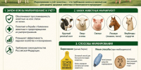 ВНИМАНИЕ ВЛАДЕЛЬЦЫ СЕЛЬСКОХОЗЯЙСТВЕННЫХ ЖИВОТНЫХ! - Поселок Мстера