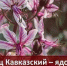 Фото: МАКС-канал Управления Роспотребнадзора по Краснодарскому краю - НИА-Кубань
