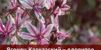 Фото: МАКС-канал Управления Роспотребнадзора по Краснодарскому краю - НИА-Кубань