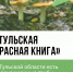 Какие редкие грибы можно встретить в Тульской области - ИА Тульская пресса.Ru