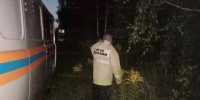 В лесу под Болховом организовали массовые поиски ребёнка - OrelTimes.Ru