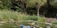 В Курске в реку упал самосвал: водитель погиб - Курские Известия